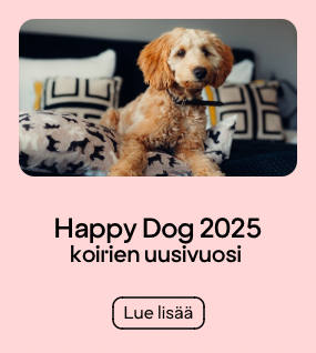 Happy Dog 2025