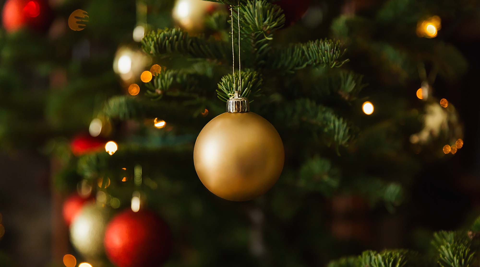 Lonely Christmas Tree – joulukeräys